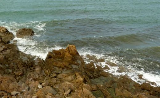 潮讯和潮汛哪个对