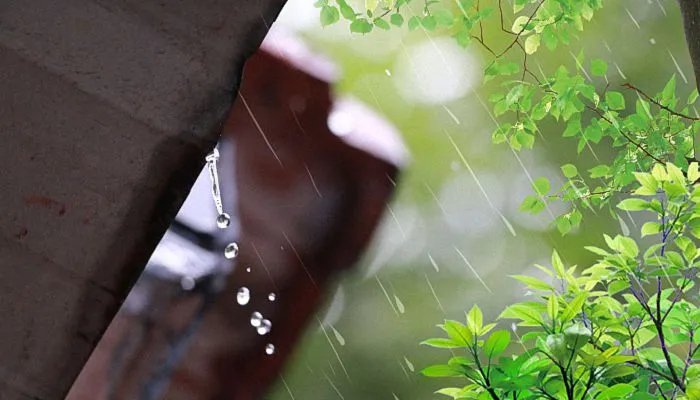 清明节为什么要扫墓祭祖