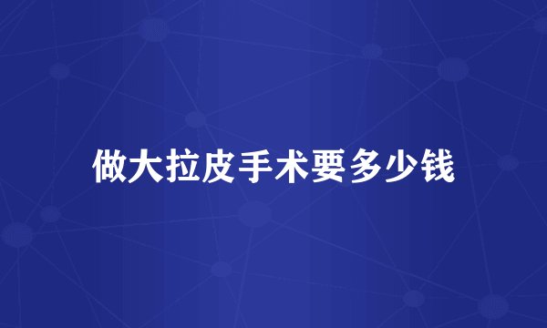 做大拉皮手术要多少钱