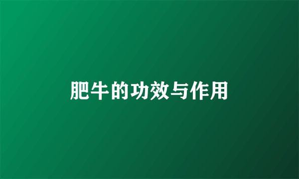 肥牛的功效与作用