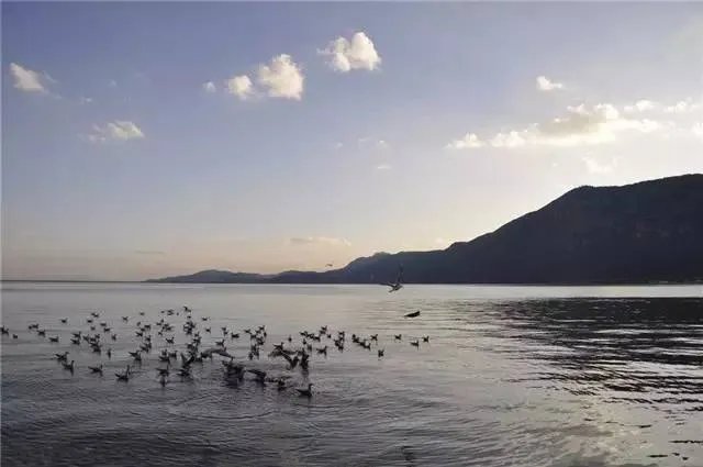 昆明,你就是个P!