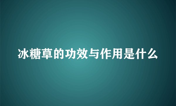 冰糖草的功效与作用是什么