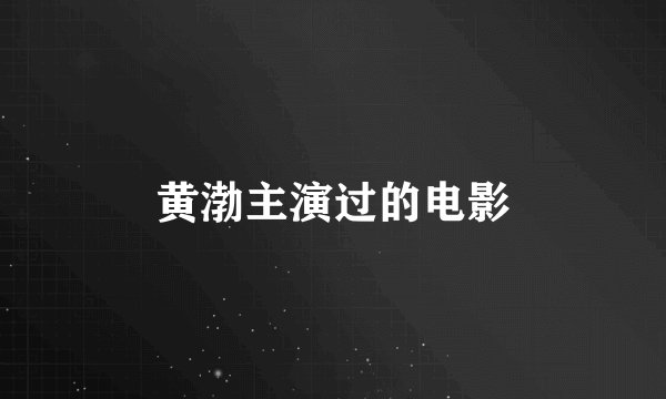 黄渤主演过的电影