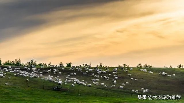 鄂尔多斯哪个草原最值得去