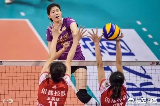 辽宁女排能夺冠吗?