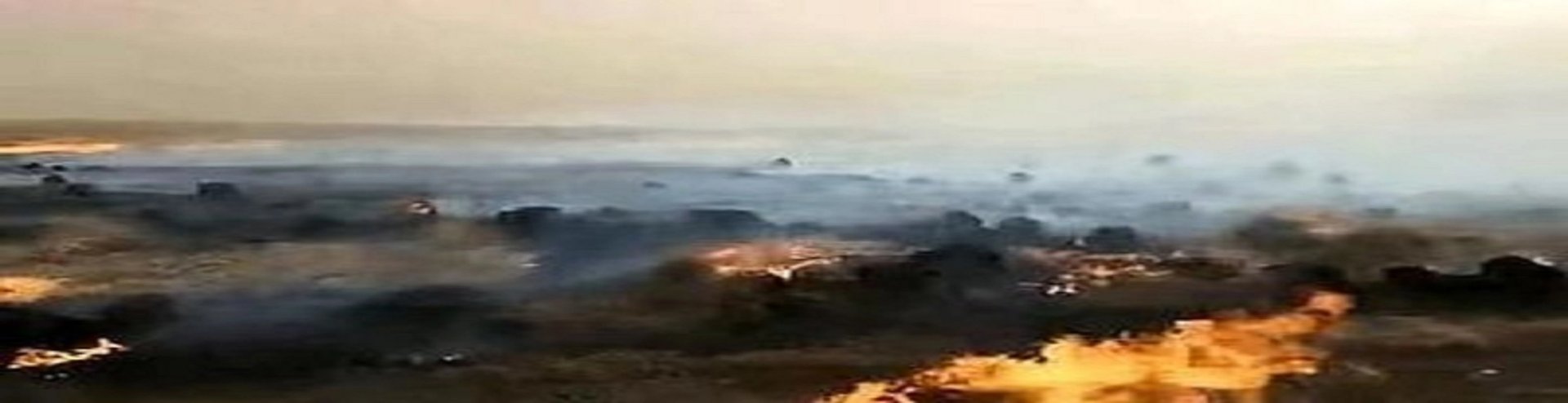 蒙古国入境草原大火已被扑灭，这次的火灾造成了哪些损失？