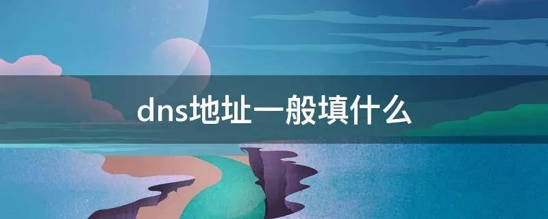 dns地址一般填什么
