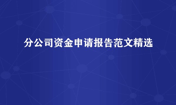 分公司资金申请报告范文精选