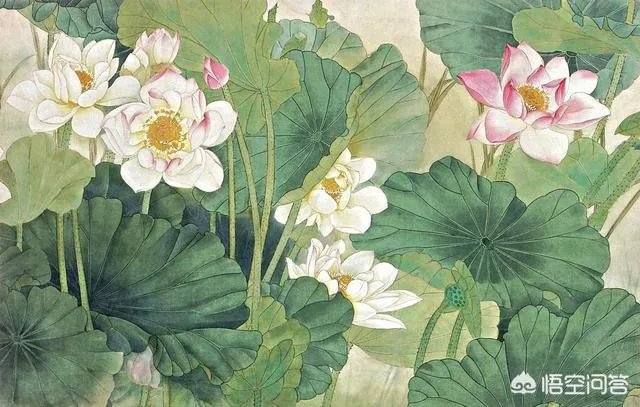 莲叶何田田的意思是什么