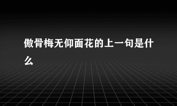傲骨梅无仰面花的上一句是什么