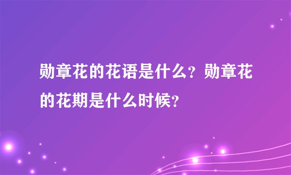 勋章花的花语是什么？勋章花的花期是什么时候？