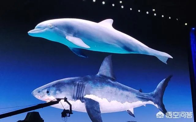 罗永浩老人与海发布会看了吗，对Sharklet抗菌印象如何？