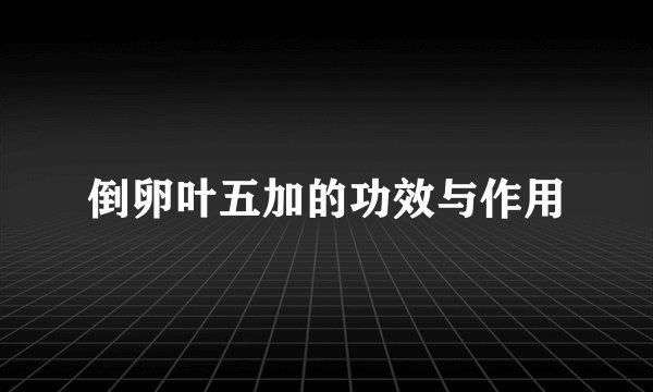 倒卵叶五加的功效与作用