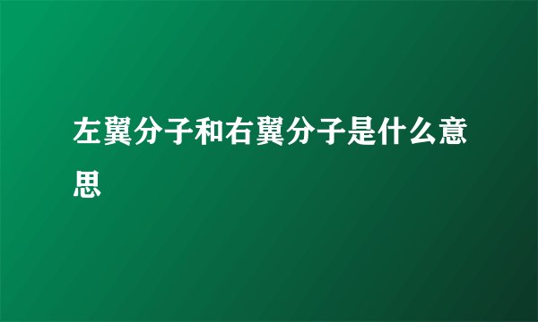 左翼分子和右翼分子是什么意思