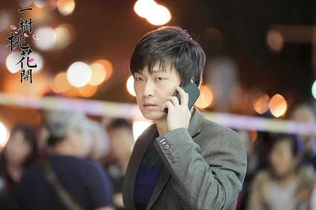 电视剧《一树桃花开》,相比盛开,为啥狄英最后能治服罗耀辉母?