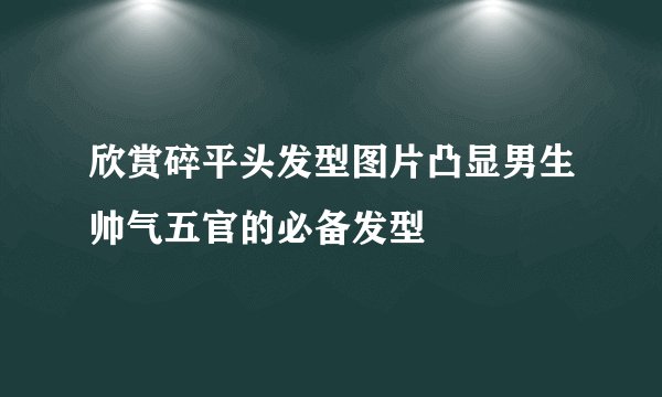 欣赏碎平头发型图片凸显男生帅气五官的必备发型