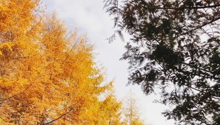 秋分的美好寓意