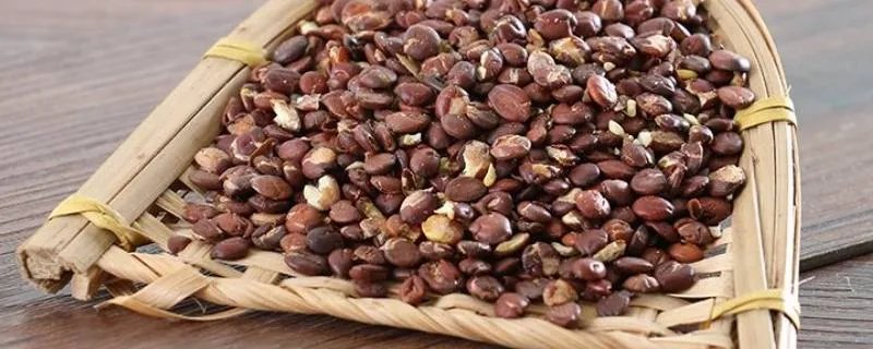 酸枣面跟酸枣仁有什么区别呢