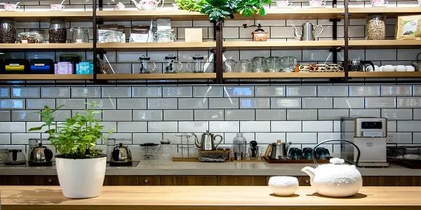 薄荷怎么养 在家怎么种薄荷