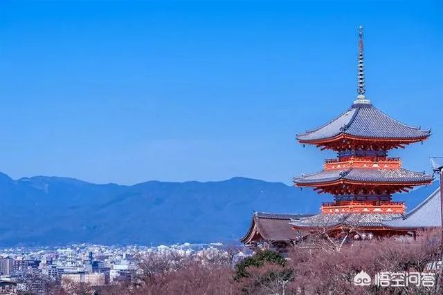 如何评价日本圣德太子的改革?