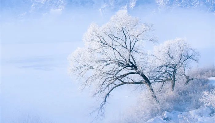 雾凇的形成 雾凇怎样形成的