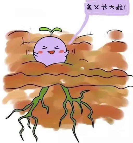 助孕试管-北京佳恩德云医院院长王朝辉：经典试管婴儿助孕常见问题（上）