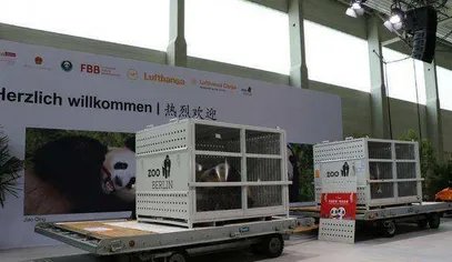 2017年哪只大熊猫抵达德国了？