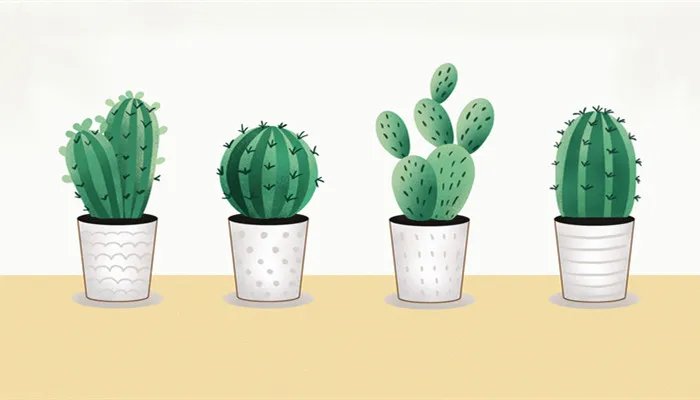 仙人球的种类 仙人球的种类有哪些