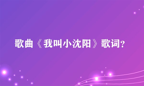 歌曲《我叫小沈阳》歌词？