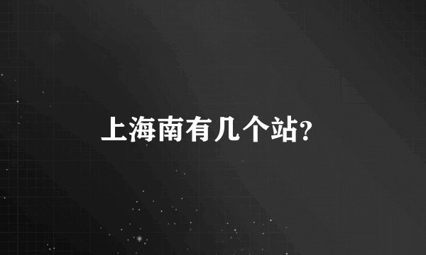上海南有几个站？