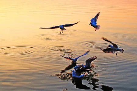 昆明十大旅游必去景点有哪些？