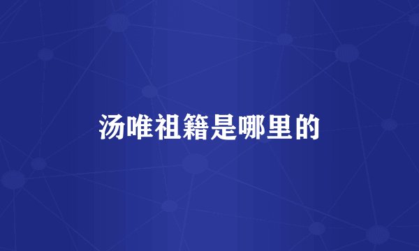 汤唯祖籍是哪里的