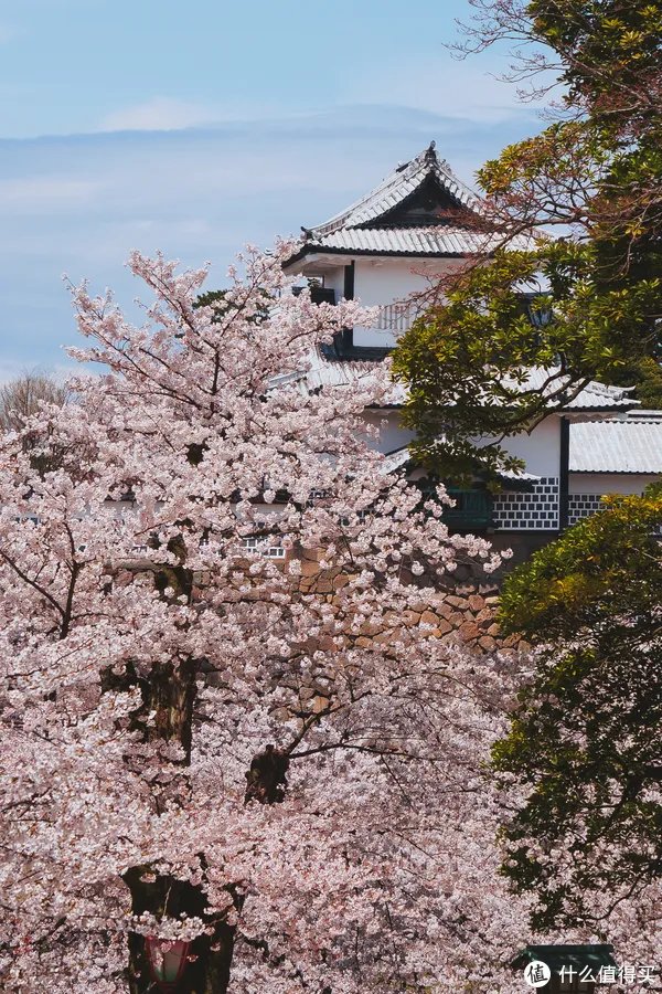 漫谈M43 篇一：M43画幅相机？这个相机体系有什么优劣？有图有真相！