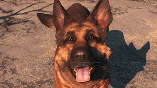 《辐射4》加点分析 辐射4加点攻略一览