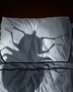 江阴市人民医院