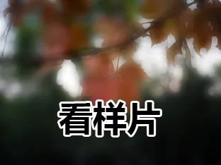 够速度颇全面 尼康全幅单反D750深度评测