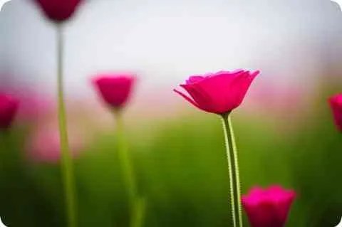 可不可以英文怎么说?