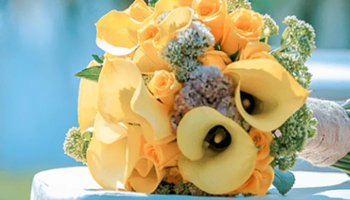 六月开什么花 六月什么花开