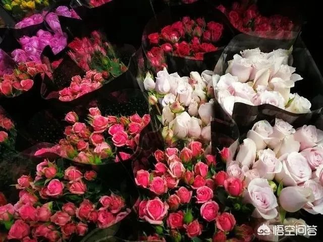 云南有哪些大的鲜花市场?