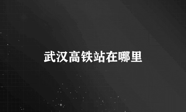 武汉高铁站在哪里
