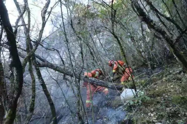 云南香格里拉森林发生火灾，起火的主要原因是什么？