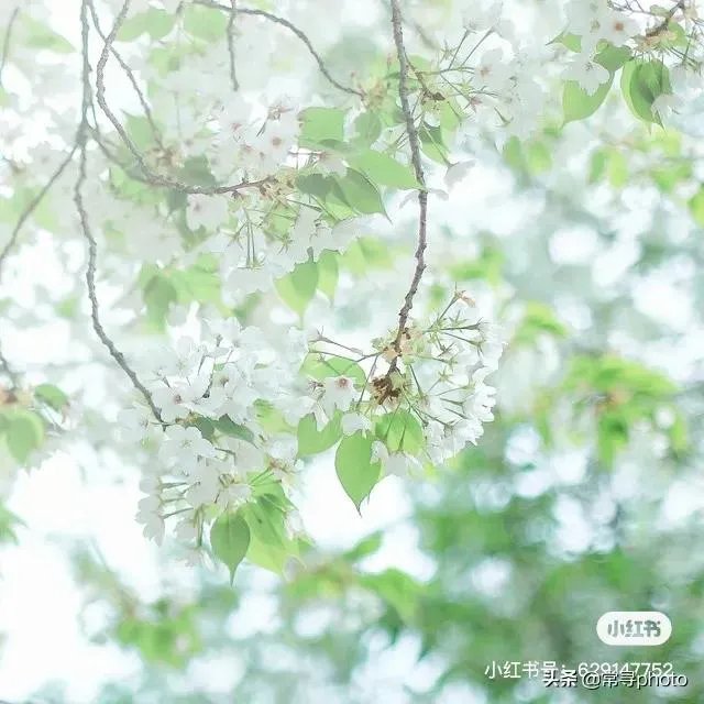 学摄影一定要参加学习班吗?选择什么形式的学习班比较合适?