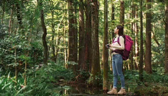 yeso是哪个国家的品牌 yeso是什么品牌