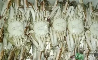 梭子蟹怎么洗？冷冻梭子蟹怎么洗？