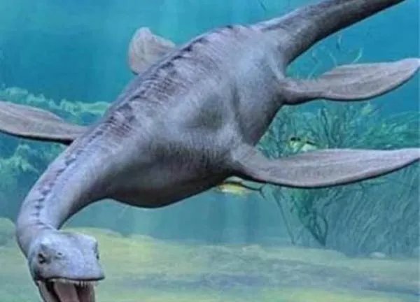 尼斯湖水怪的真相到底是什么?