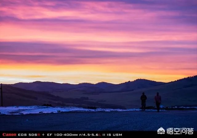 佳能100-400镜头适合拍什么?