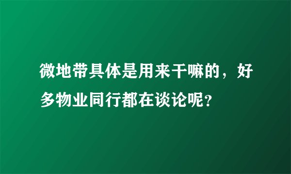 微地带具体是用来干嘛的，好多物业同行都在谈论呢？