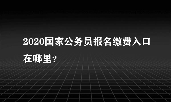 2020国家公务员报名缴费入口在哪里？