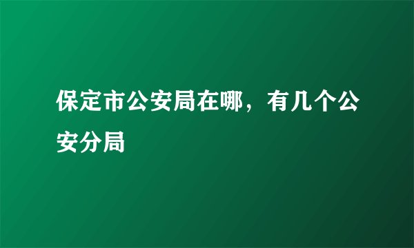 保定市公安局在哪，有几个公安分局
