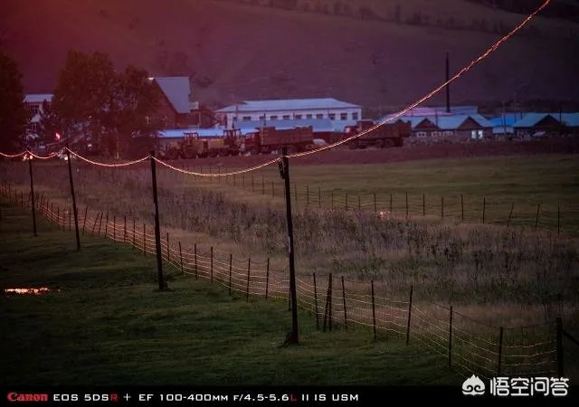 佳能100-400镜头适合拍什么?